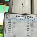 서서울승마클럽 | 동서울 승마클럽 승마 후기!(1~4회차)