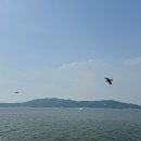 인천 신시모도 배 삼목선착장 시간표 요금