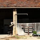 박미향 농장 이미지