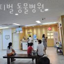 풍동 동물병원 이미지