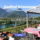 그랜드호프 | 스위스 여행 인터라켄 호텔 Gasthof Schoenegg 후기