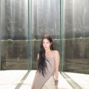 다나비즈