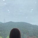 꼬미엔소 이미지