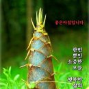 장사경로당 이미지