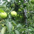 데미샘자연휴양림 이미지