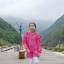 현준목장 Daum카페
