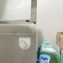 초록세탁 | 통돌이 드럼 겸용 대용량 세제 / 타이글 실내건조 세탁세제 사용 후기