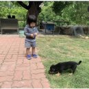 산수민박 이미지