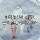 태백하늘펜션 | 태백 맛집 & 숙소 추천 – 2025 태백 눈축제 1일차 여행 후기