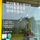 쿤이네 간식 이미지