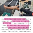 택짐피티샵 이미지