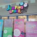 점핑스파이더 운정 이미지