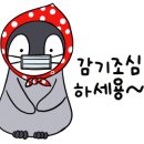 등촌샤브칼국수광명