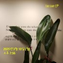 모크샤 | 모크샤요가 길동점 레귤러클래스 후기 W11