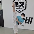 하당비룡태권도장 이미지