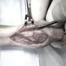 속초삼성동물병원 이미지