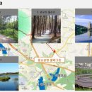 신세계그린마트 이미지