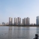치칵치칵월곶점