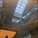 바른손한의원 | 온천장 한의원 근처에 이런곳이?!?! 신상카페 '로띠포레스트'