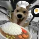 엔시티드림 팬미팅 후기 (씹떡주의!