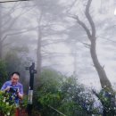 이광주스튜디오 이미지