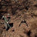 일상의 각별한 기행 이미지