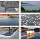 (유)신안환경 이미지