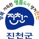 신성사거리~진천IC 가로수 이미지
