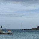 풍차와노을 | 제주 스쿠터 여행 필수코스🌊 신창풍차해안도로 + 수월봉 지질트레일 + 오징어구이 맛집 후기