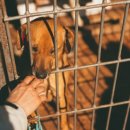 동원동물병원 이미지