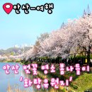 화랑유원지2주차장 입구 | 안산 여행 봄나들이 벚꽃 명소 화랑유원지 방문 후기 애견동반 주차장