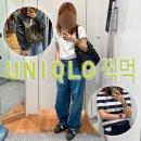 로아이즈