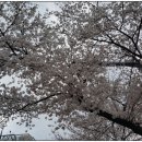 투썸플레이스양산통도사점 - 42696 | 투썸플레이스양산통도사점