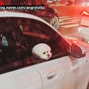 사암통도한의원 이미지