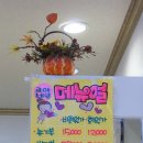 고아네일 이미지