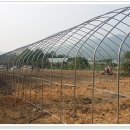 부광농장-2 이미지