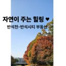 반석천 | 대전 유성구 반석동,지족동-반석천(반석더샵아파트)