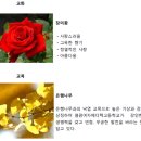 염광메디텍고등학교 | (특성화고/직업고) 염광메디텍고등학교 2026 신입생 입학안내, 2026 학교안내