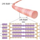 부산 창원에 주파수젖문가년 전파빔 다리+꼬에 집중공격 ㅋ 필라멘트써놨는데 20혹은 지주장해댄단다 이미지