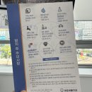 #파주 운정 치과_바로세움치과_사랑니 발치 후기