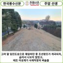 홍지선생 묘 이미지