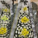 대전보훈병원 이미지