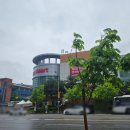 온의로 L 이미지