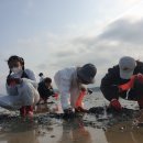 결성초등학교 이미지