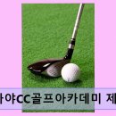 가야CC골프아카데미 제니스 네이버블로그