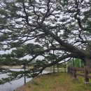 수산리농장 이미지