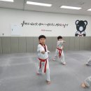 배곧 품 태권도장 이미지