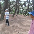 남산원천탕 이미지