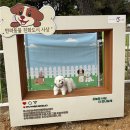 숲속동물병원 | 부산 강아지 힐링 스팟, 사상 숲속 반려동물 놀이터 주말 나들이 후기