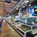 설악해맞이공원 이미지